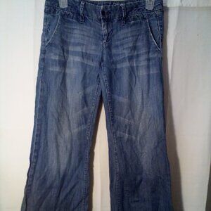 American Eagle Outfitters Blue Flare Jeans